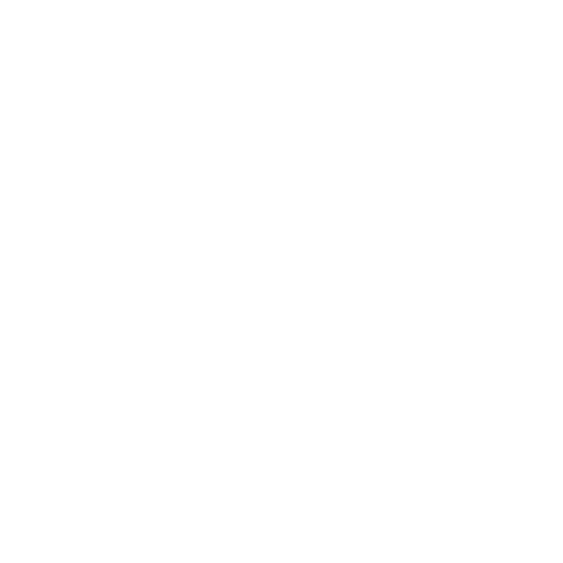 security icon