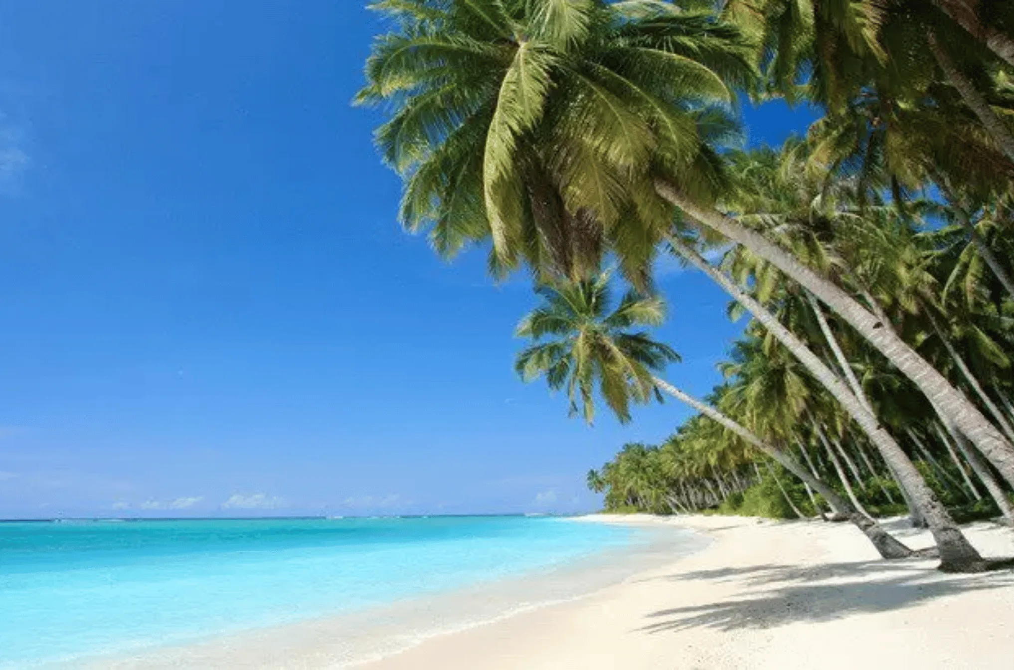 Andaman Honeymoon Package