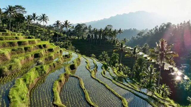 Discover the Best Places to Visit in Bali