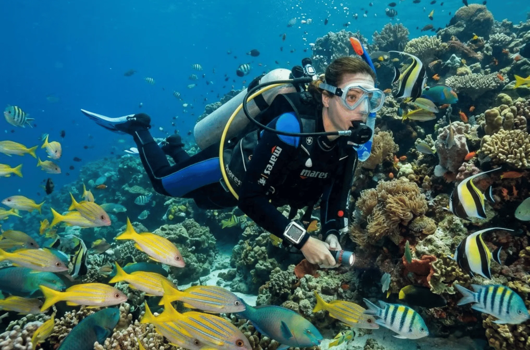 Classic Goa Honeymoon Tour with Coastal Experiences