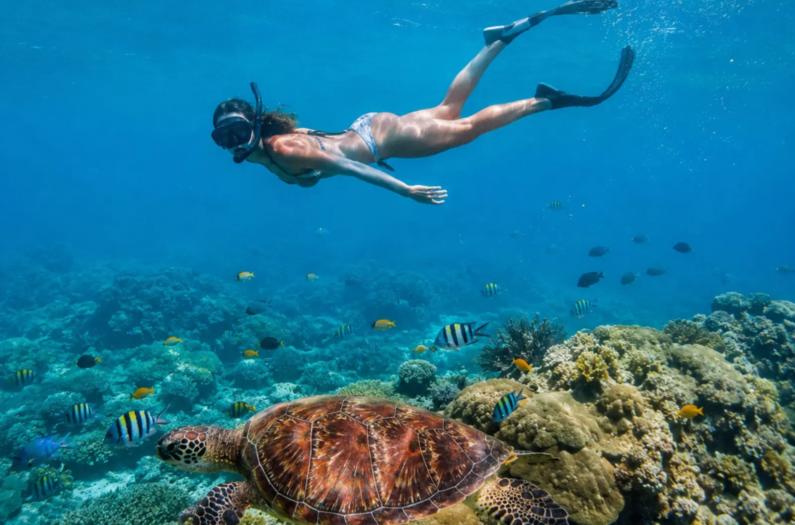 Premium Bali Honeymoon Package with Cruise & Watersports
