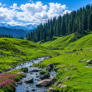 Kashmir Valley Bliss – Srinagar Gulmarg Pahalgam Escape