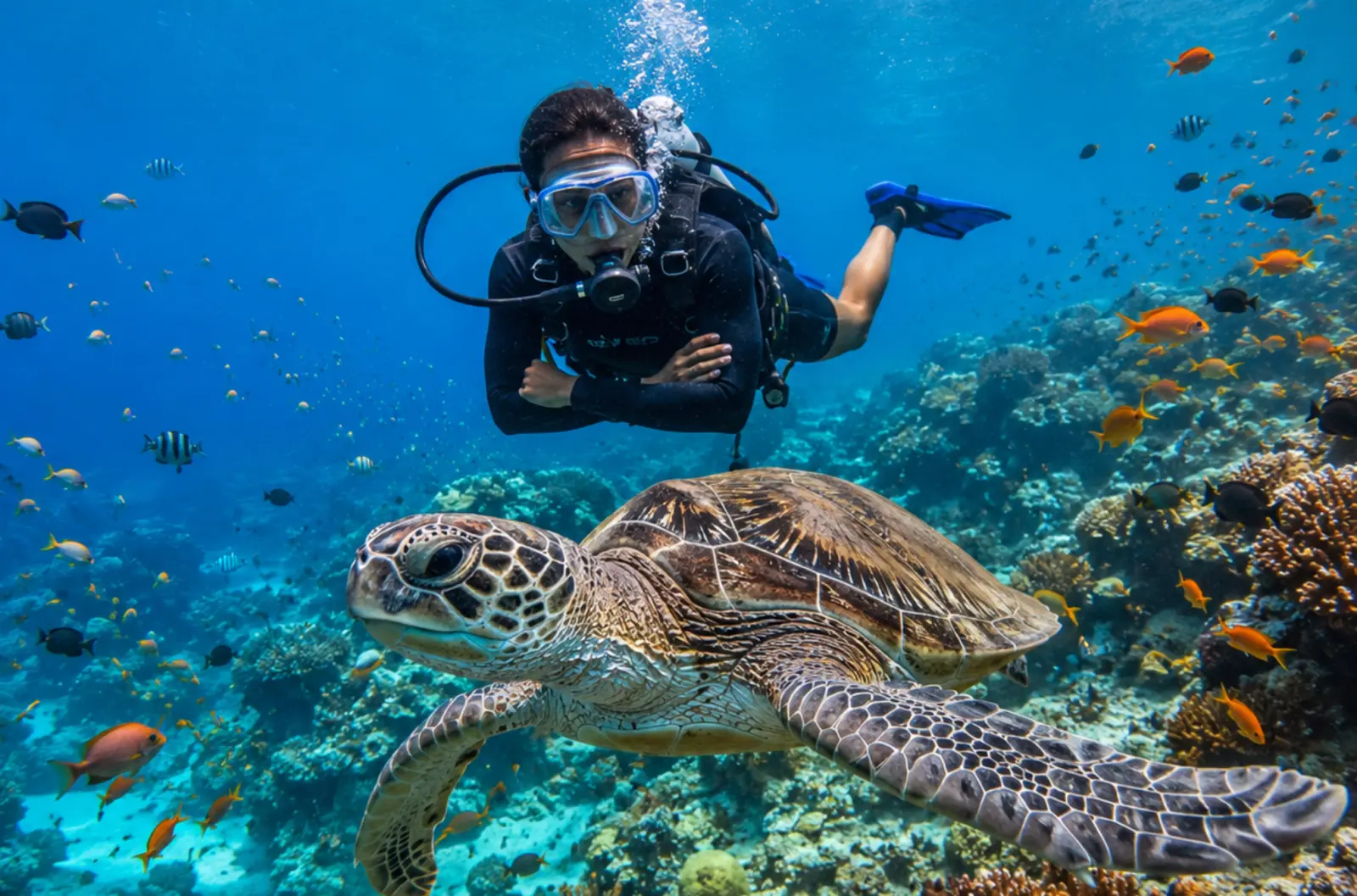 Escape To Paradise Maldives Honeymoon Getaway
