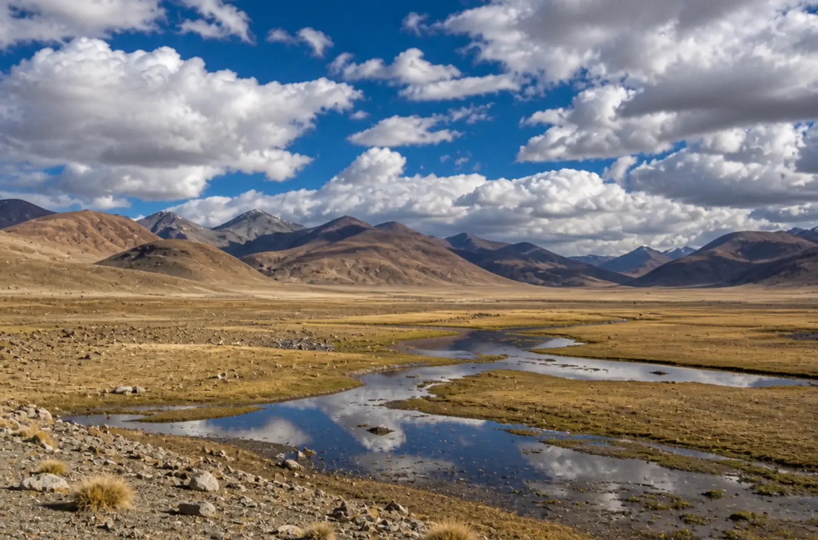 Romantic Ladakh Honeymoon Escape – Leh Nubra Pangong Love Journey