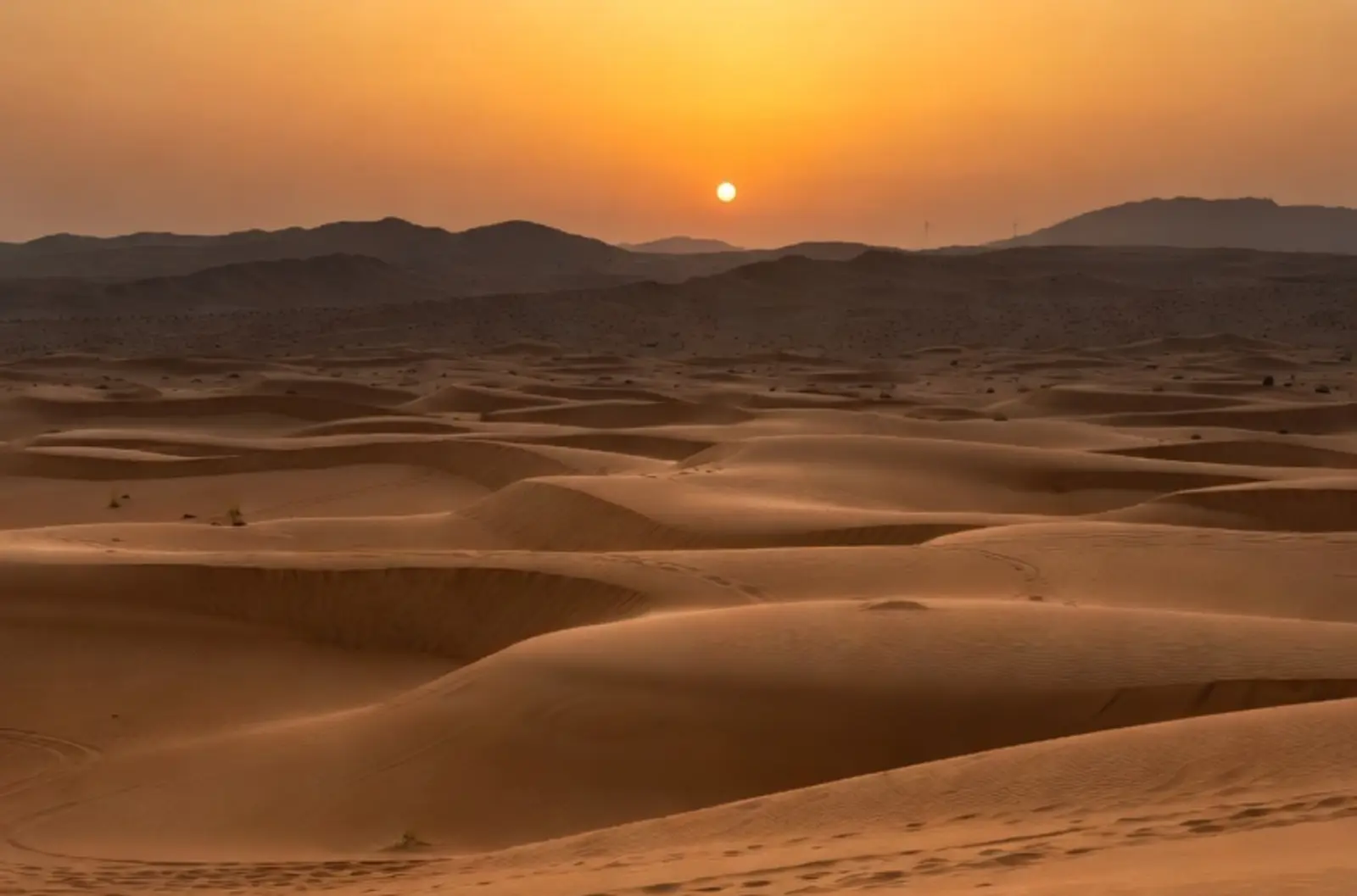 Dubai: An Extravagant Odyssey