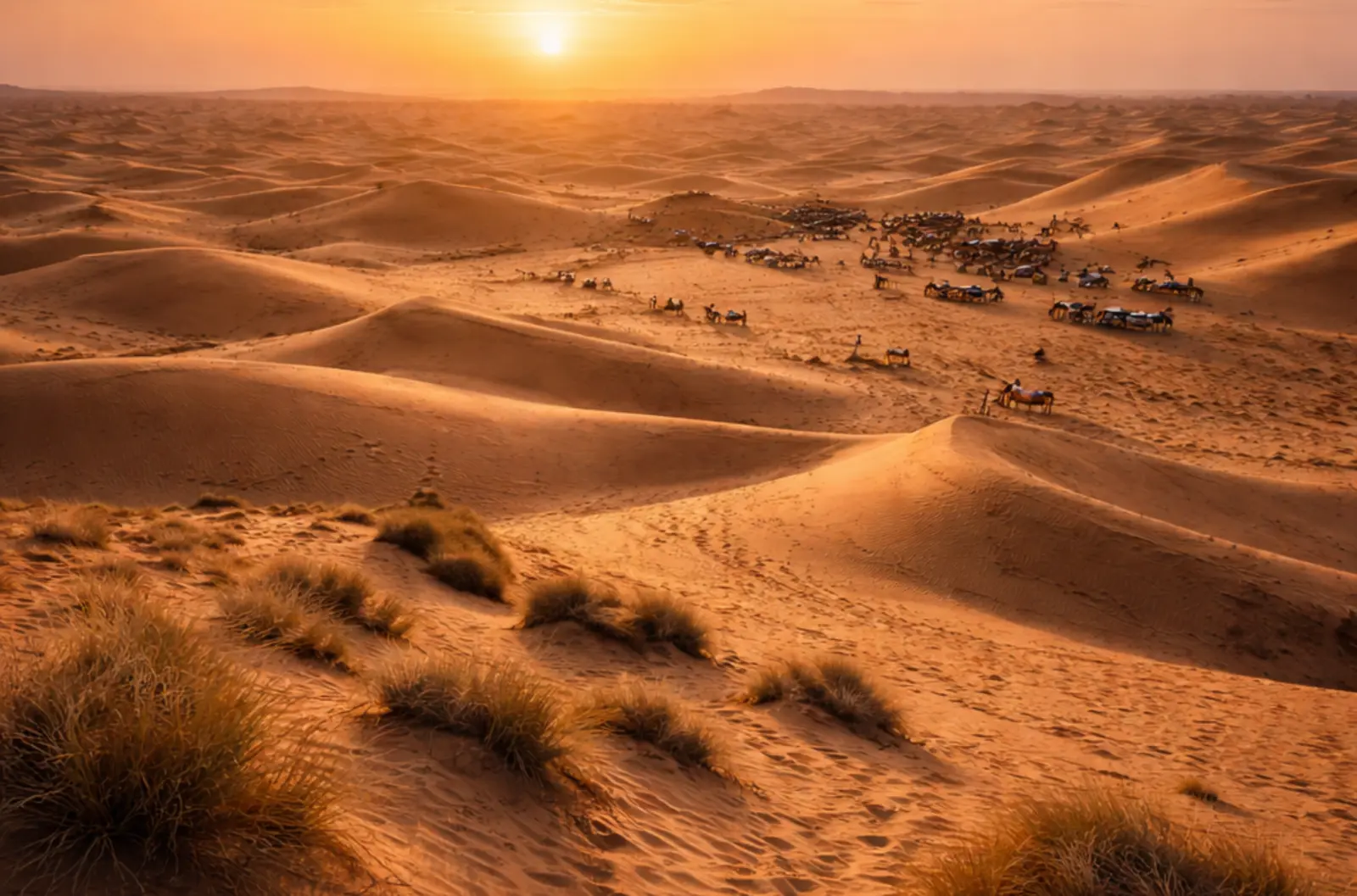 Royal Rajasthan Heritage Trail – Jaipur Jodhpur Jaisalmer Discovery